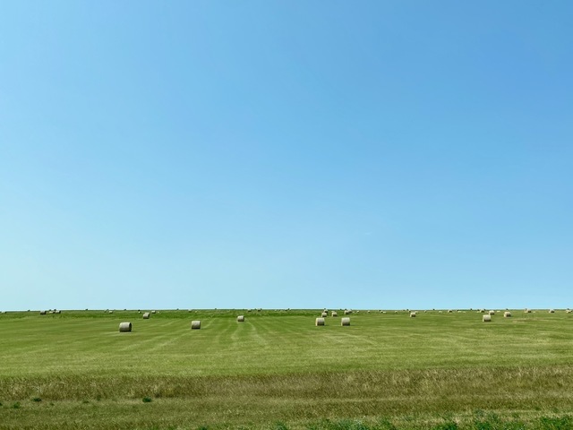 6DB85574-B702-40E5-BE32-5BC4C93FFD27.jpeg