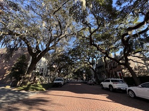 IMG_6157.jpeg